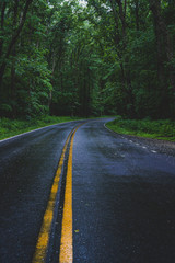 Obraz premium Misty road in Shenandoah National Park