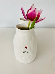 tulips in a vase