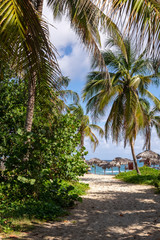 Fototapeta na wymiar Cuban dream beach in Varadero with sun loungers and coconut trees