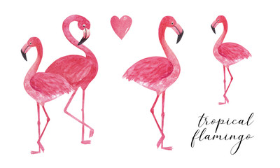Tropical collection watercolor flamingo. Beautiful hand drawn illustrations for decoration, print, posters, textile design, postcard. Isolated on white background