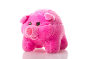 soft toy pig on isolated on white background