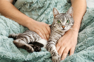 Cute cat with owner at home