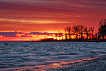 Sunset Through The Trees