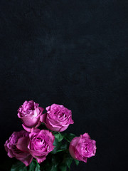 birthday Valentine's Day women's Day flower rose romantic sensual