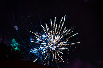Fototapeta premium fireworks in the night sky