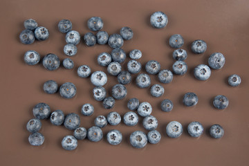 blueberry berry on a brown background. vitamin food