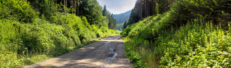 Fototapeta na wymiar Rural landscape, panorama, banner - country road in the Carpathian mountains, Ukraine