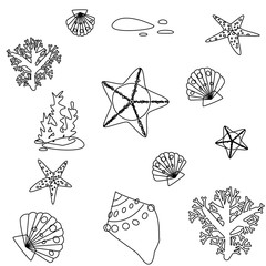 Vector set, seashells, seaweed, starfish and stones. Isolated black lines without a background. Summer theme. For logos, prints, patterns and backgrounds.