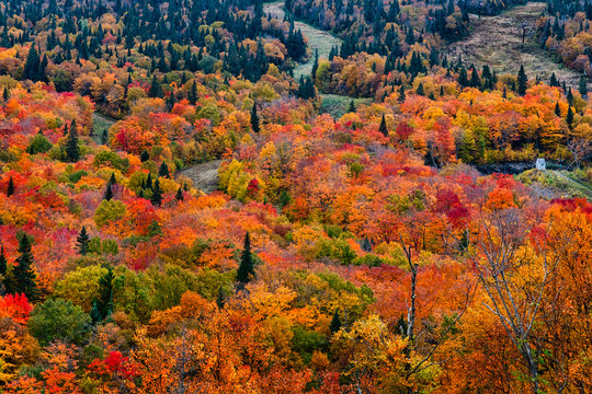 Fall colors, Massif du Su, Quebec, Canada