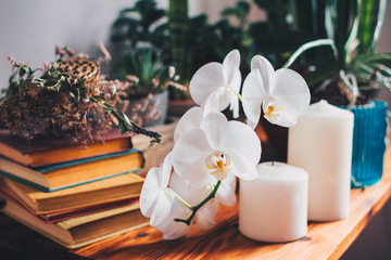 Spring design interior. Cozy home decor. Heap of colourful books, white orchid flower, candles and plants on the wooden desk.