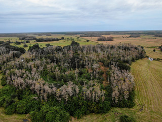 Fototapeta na wymiar Aerial view Wetland 