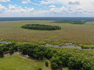 Aerial view wetland 