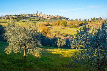 View of the Italian town of San Gimignano, a small walled medieval hill town in Tuscany known as...