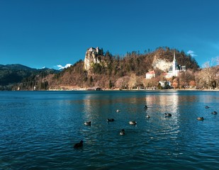 Bled lake landscape in Slovenia