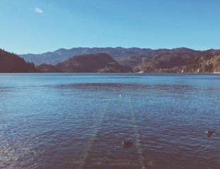 Bled lake landscape in Slovenia