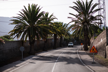 Fototapeta premium beautiful road in the Canary Islands