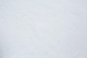 Gray snow on the ground