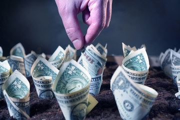 Money profit growth concept with dollars grow from the ground. A hand reaches for a bill in one...