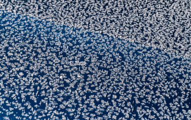 Frozen Material