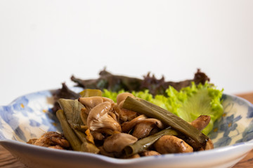 cogumelos