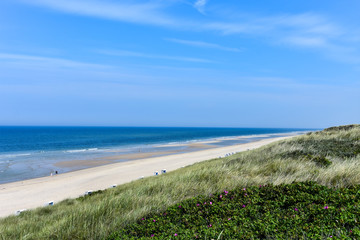 Fototapeta na wymiar Dune landscape with beach and sea on the island of Sylt
