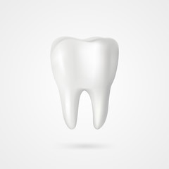vector 3d tooth model for dental designs - 319045432