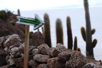 Salar de Uyuni