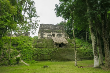 Fototapeta na wymiar The ancient pyramid of the Mayan civilization in Tikal, Guatemala