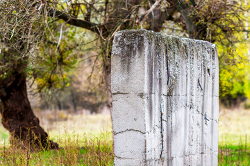 Concrete wall in front of blurred old poplar trees at Zlato Pole or Gold Field Protected Area, Municipality of Dimitrovgrad,Haskovo Province, Bulgaria, selective focus, shallow depth of field