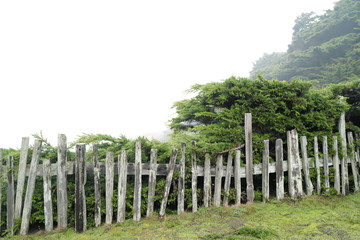 Fototapeta na wymiar wooden fence in a field