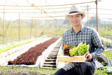 Portrait young asian man smiling harvest and picking up fresh organic vegetable kitchen garden in basket in the hydroponic farm, agriculture and cultivation for healthy food and business concept.