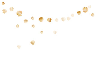 Gold seashells isolated, pearl bivalved mollusks