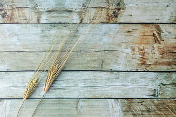 Wheat ears placed on brown wooden background