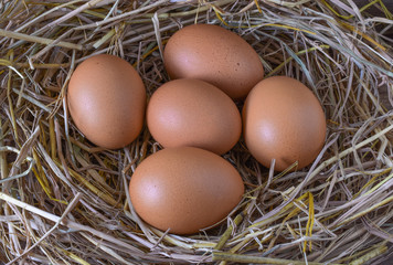  Eggs on rice straw,Farm eggs,raw eggs for cooking,top view.