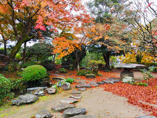 Traditional Japanese garden of Ohara-tei samurai residence (rebuilt in 1800) of in autumn colors. Many samurai houses survived in Kitsuki town (Japan) since Edo period