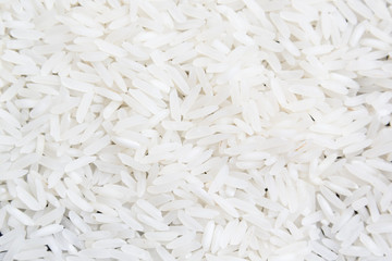 semillas de arroz blanco