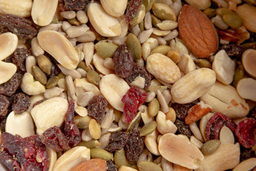 diferentes tipos de nueces