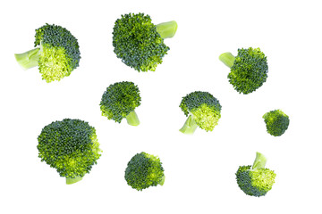 Fresh broccoli in closeup isolated on white background