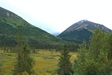 Obraz premium Alaska Landscape in Denali National Park