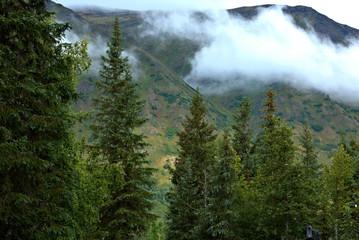 Fototapeta na wymiar Alaska Landscape of clouds, mountains, trees and bush country