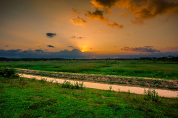 Blurred twilight evening background on rice paddies, with high voltage electricity towers passing...