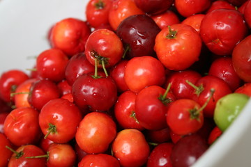 Acerola