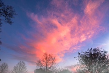 Obraz premium Pink Cloud with fog