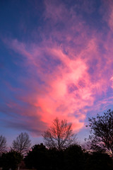 Pinkish Cloud Portrait