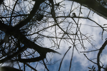 Reflejo de agua