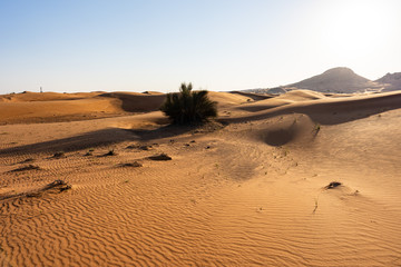 Scenic landscapes in Dubai desert on sunny day