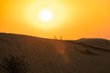 Scenic landscapes at Dubai desert during sunset