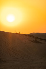 Scenic landscapes at Dubai desert during sunset