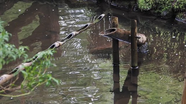 Bamboo water feature boar scarer (Shishi-odoshi)