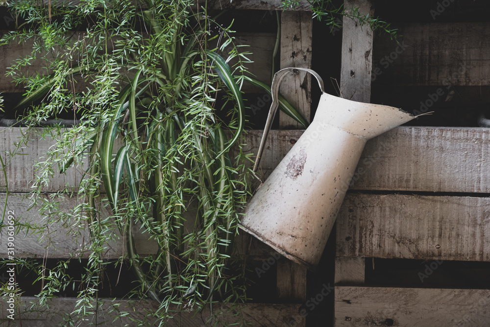 Wall mural Old jug on wooden wall